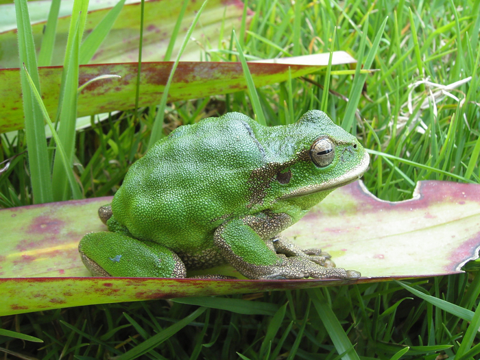  ,     ,  ?   ,      !