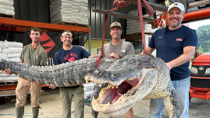    : 3-3,6 .         4 !