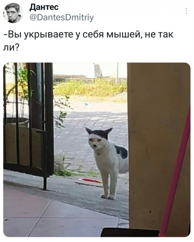   , , ,   (),  ,  , 
