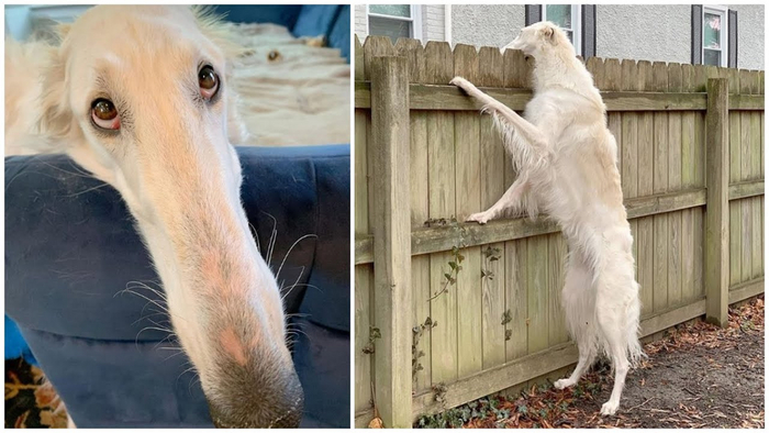 Вынюхать грязные секреты соседа? Да запросто!