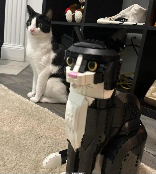 �������: ��� "�������.��� (��)" ��� 7703380158