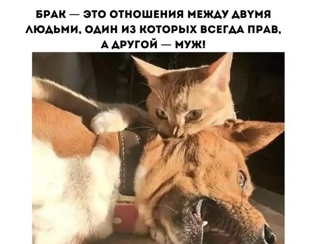 ����� ���������