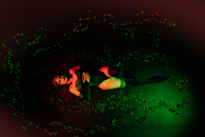  Poison Ivy ( )  (), , , DC Comics, 