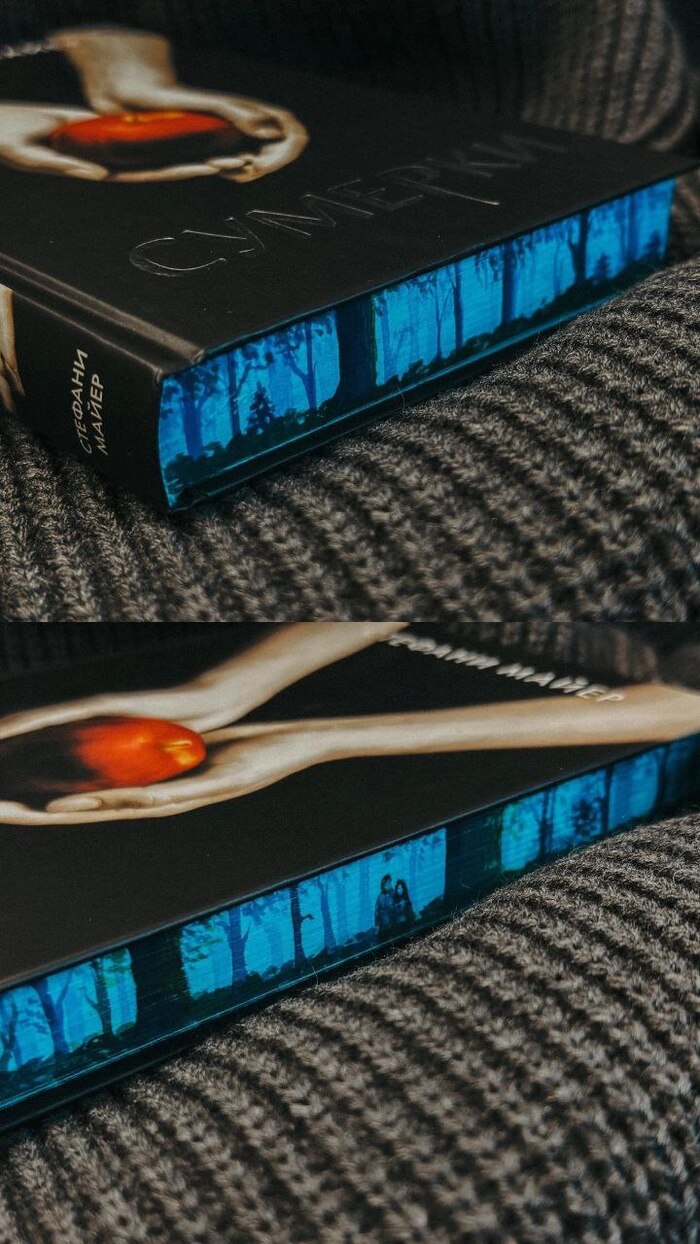 С. Майер "Сумерки"