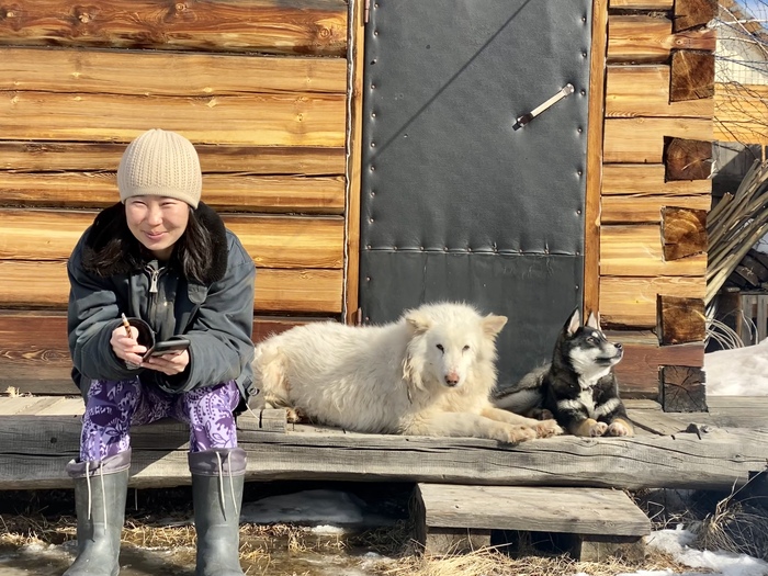 Машуська, Печат и Догор греются на весеннем солнышке.