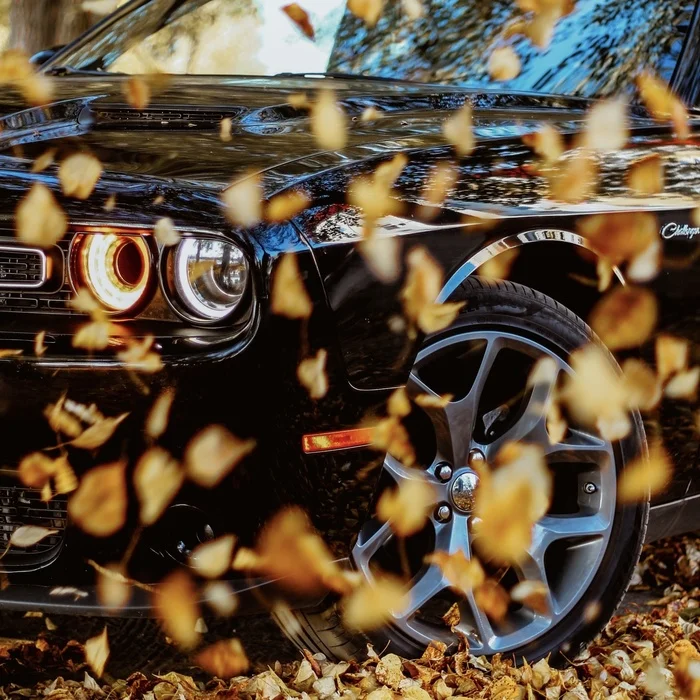 Dodge Challenger - Auto, Dodge, beauty, The photo, VKontakte (link)