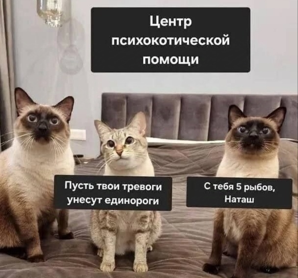       ,   , , 
