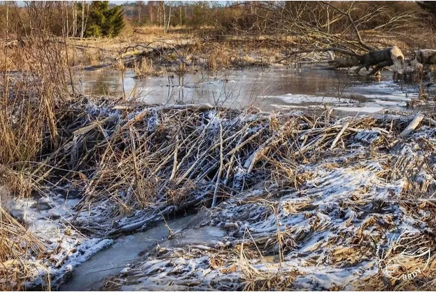    .   Nature Conservation Agency of the Czech Republic