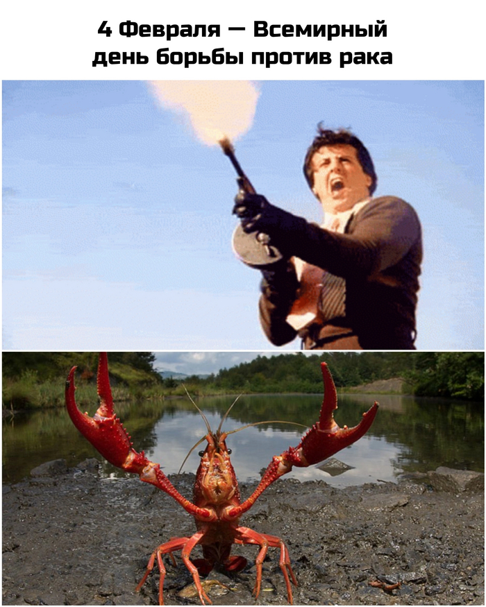 ... ,   , ,  ,   
