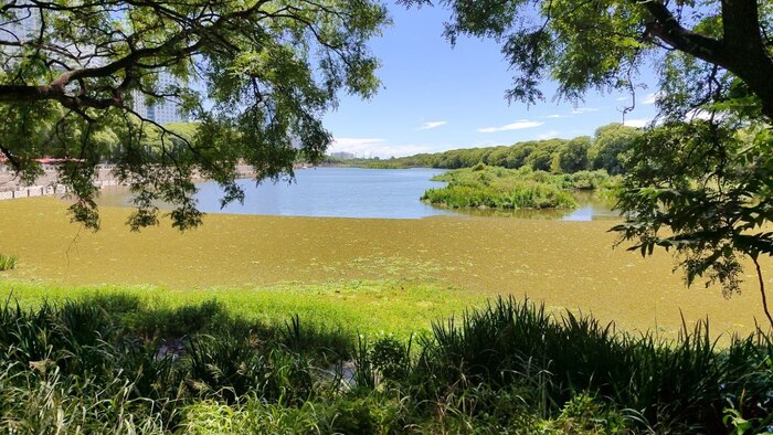 ,   .     .     .    !