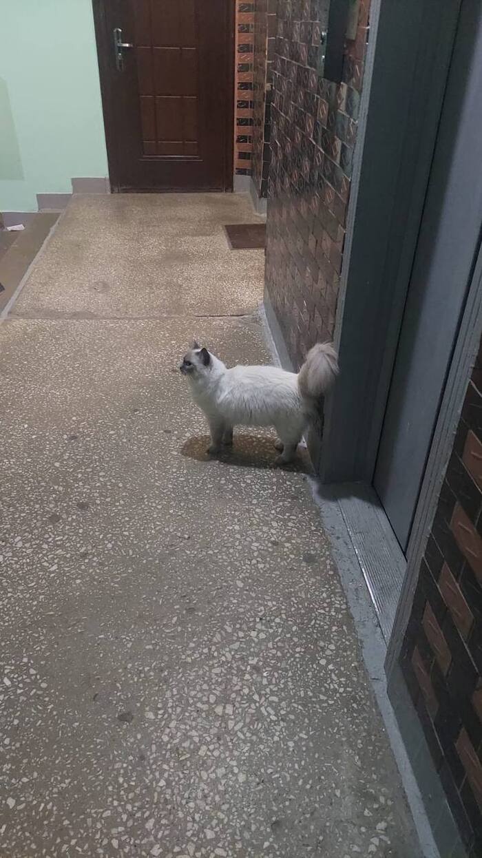  ,      , , , ,  , ,  