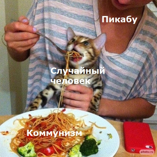  zxpg       , ,   ,  