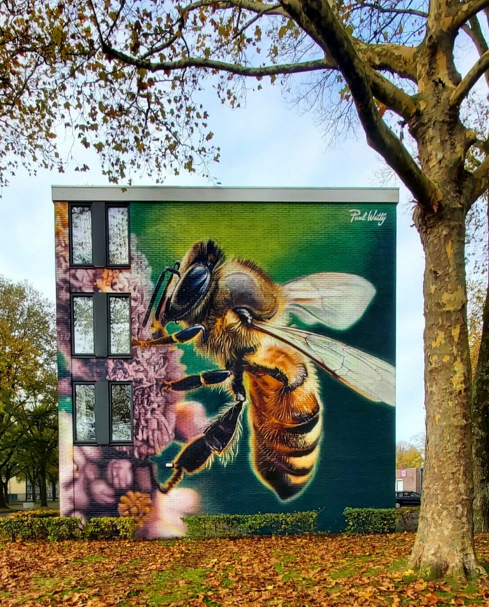 И мурал художника Paul Watty из Нидерландов, занявший 7-е место.