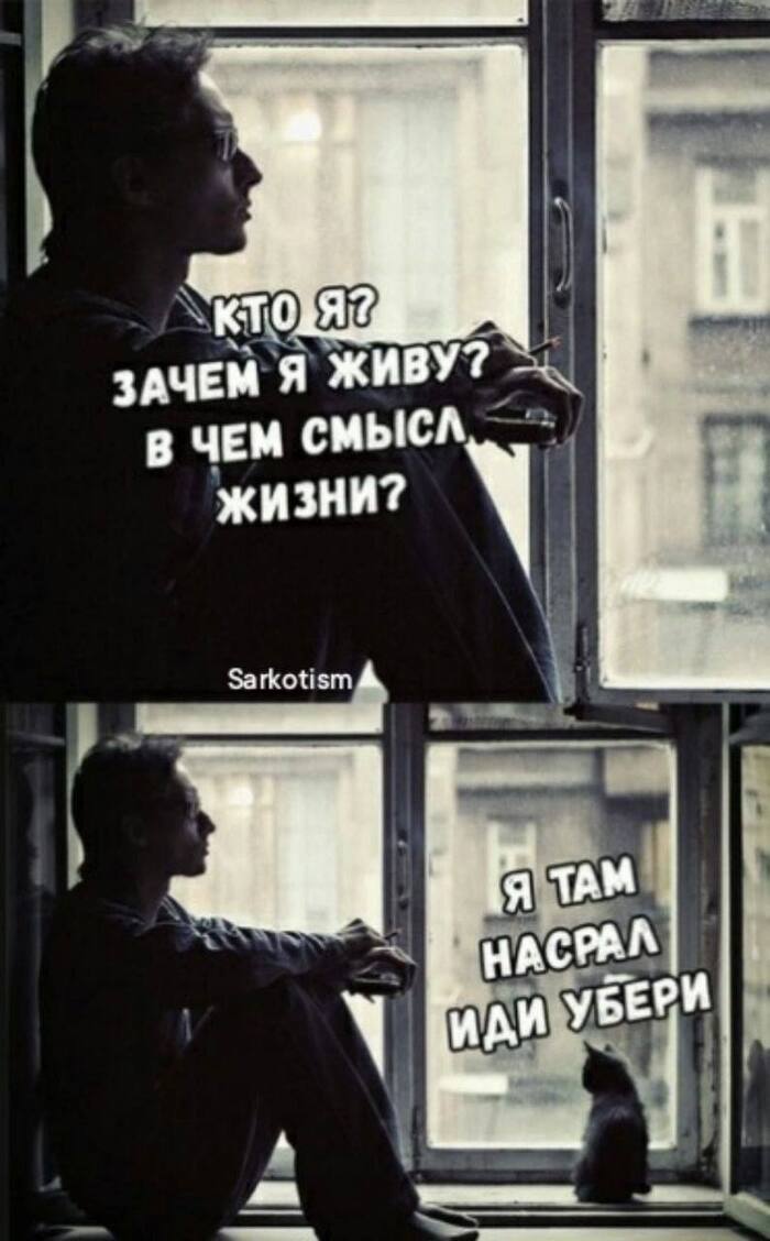 Смысл жизни