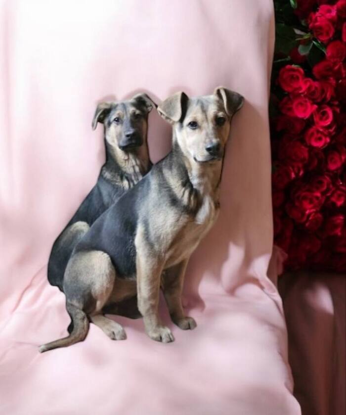 ����� ����� � ����� ���� �����