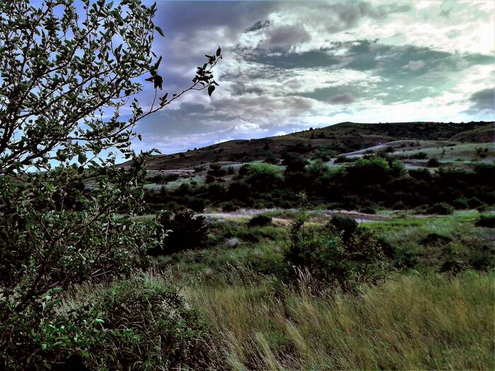 ����� ���� ����������� ������ ���)