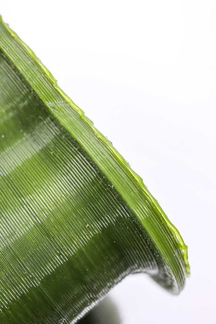 Видны остатки поддержек