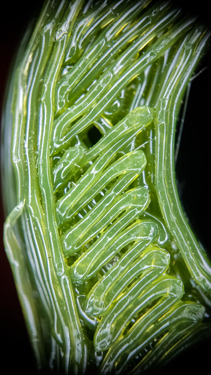 Тут уже лучше видны косяки