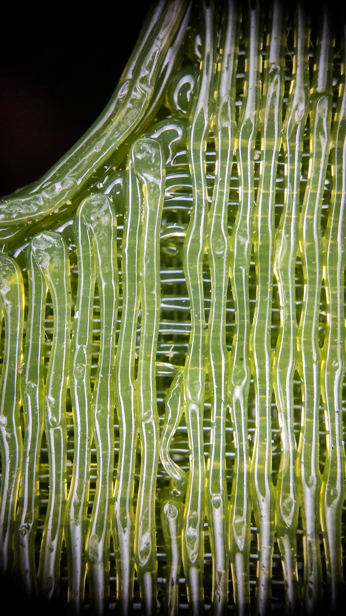 Тут вообще полоса пропущена