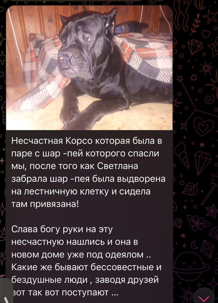 Сообщение из домового чата