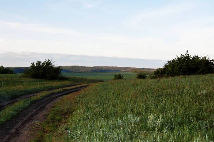 Дорога вьётся через поле