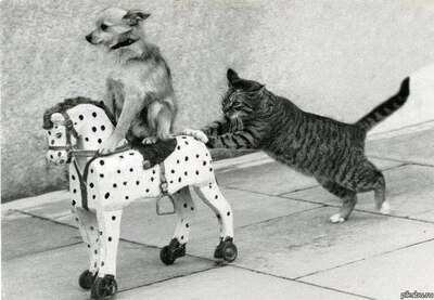 ����� �� ���� ���������� ������ � �������. ��������� �������� ��� ���������� ����������