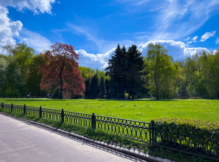 &#x1F54A;&#xFE0F; &#x1F33F;