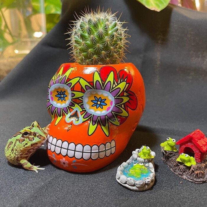 El mircoles mi amigo!