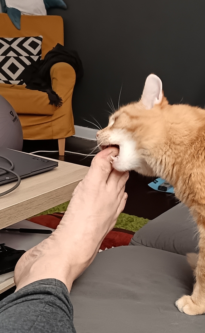 ������� ����� ���������