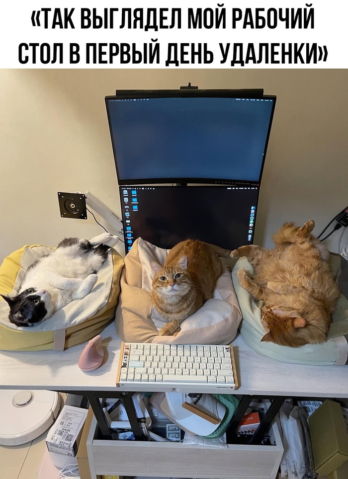  ,   ,  , 