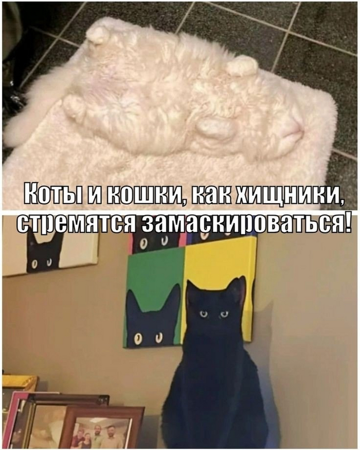 :  ". ()" / : 7703380158