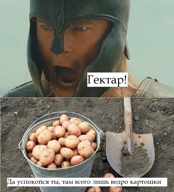 Гектар