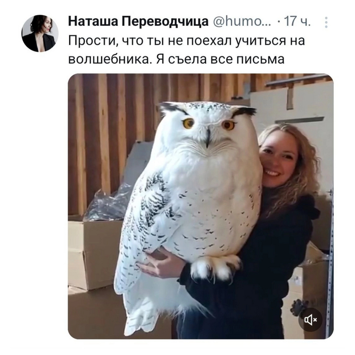   , ,  , ,  , ,   - Twitter