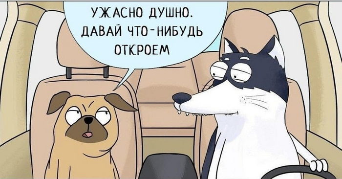 Душнилам посвящается