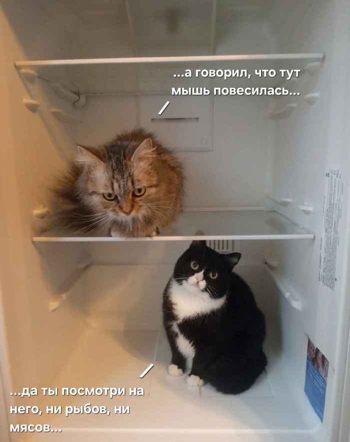       ,   , , ,  , 