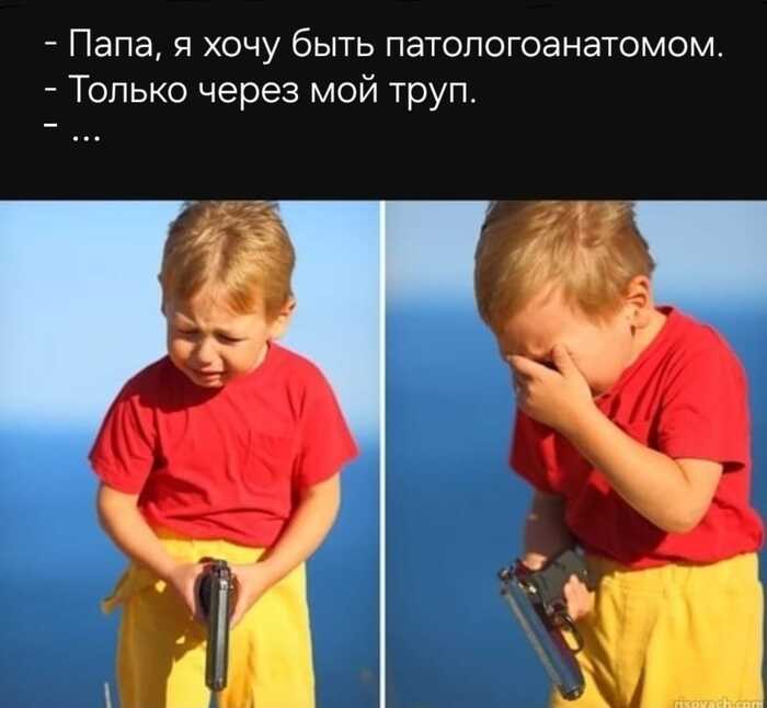   , , ,   , Telegram (), , ,   , , 