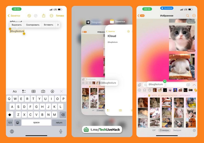       iPhone , , , , iPhone, iOS, ,   , Telegram ()