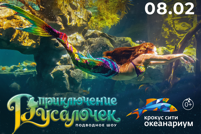 Шоу в океанариуме Крокус Сити