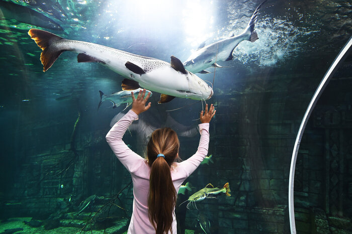 Экспозиция "Моря и Океаны" Крокус Сити Океанариума