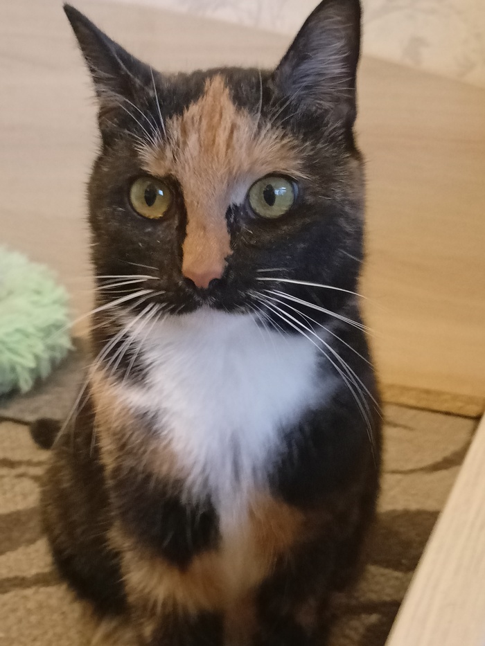 ��� ����� ���������� �������, � ������ ���� � ������ ��������