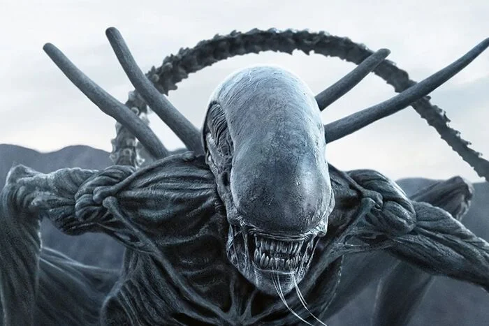 Where did the Aliens from the Alien series come from? - My, Alien movie, Stranger, Monster, Monster, Engineer, Jockey, Space