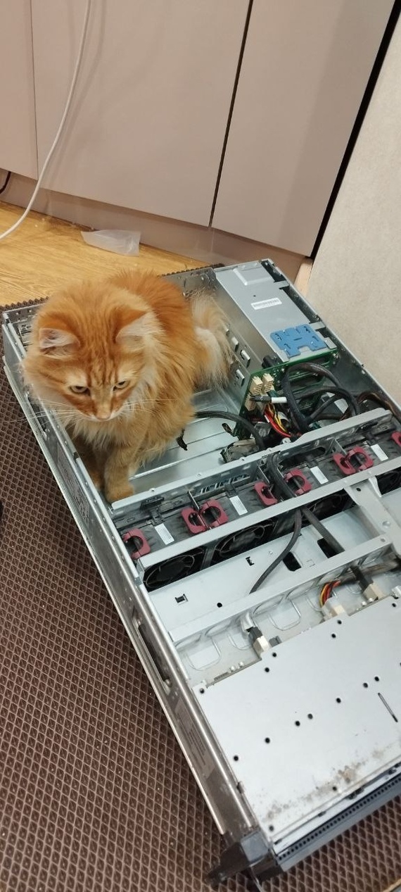      ,  , ,  , ,   