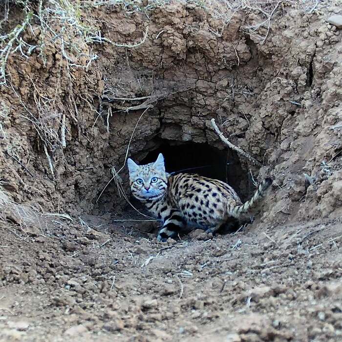       ,  ,  ,  ,  ,  ,   ,  , , 