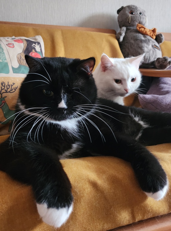 Привет, бандиты! А как Ваши бандиты ?)