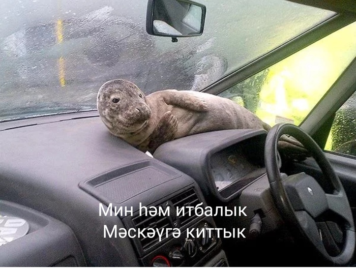    , , ,  