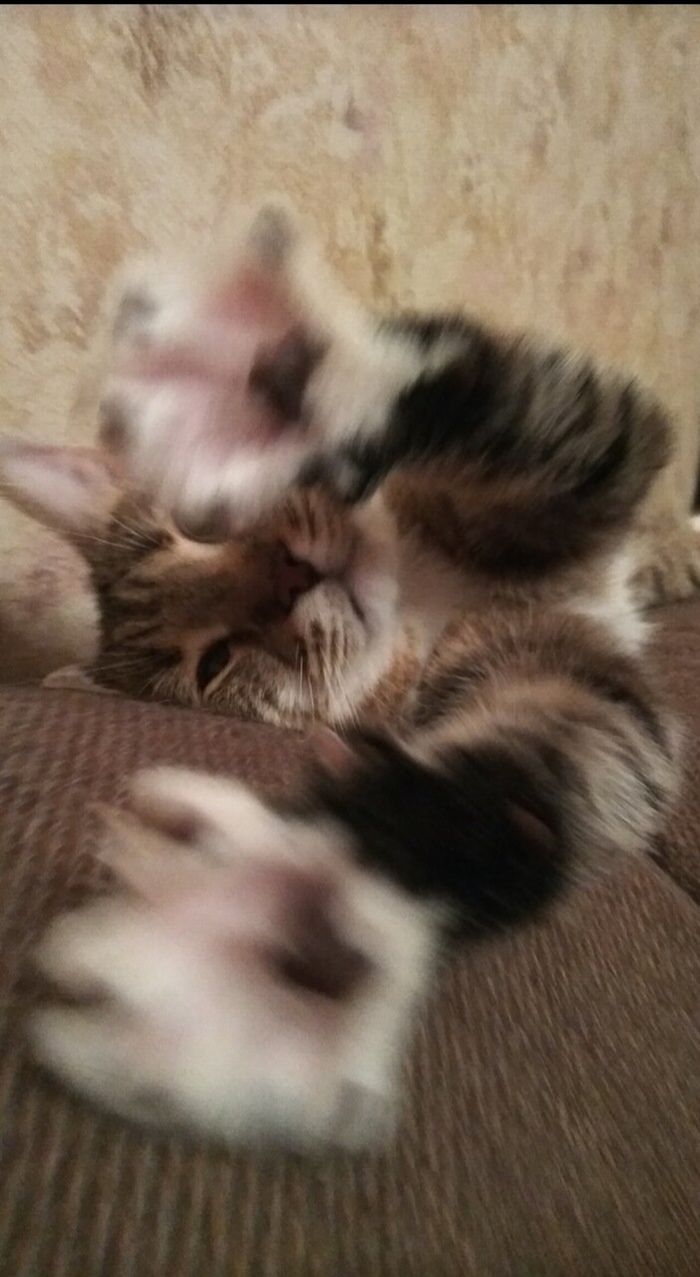    ! (  ) ,  ,  ,  , , , , 