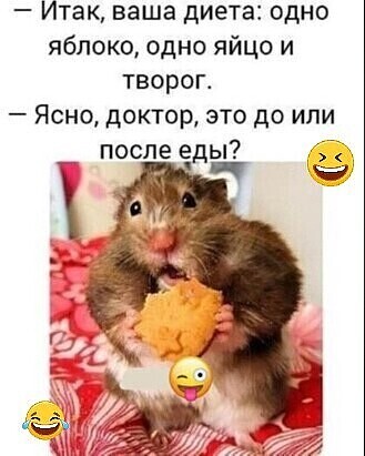 ������ �����