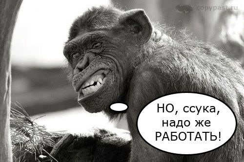 ����� �� ���� �������� ������� ��� ��������� ������ � 110 ���. ������