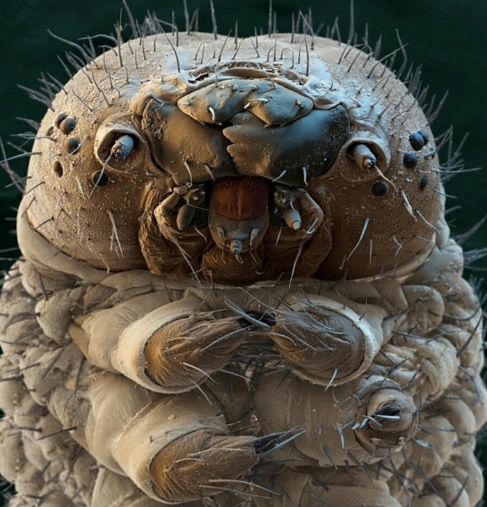   ! , , , , , 