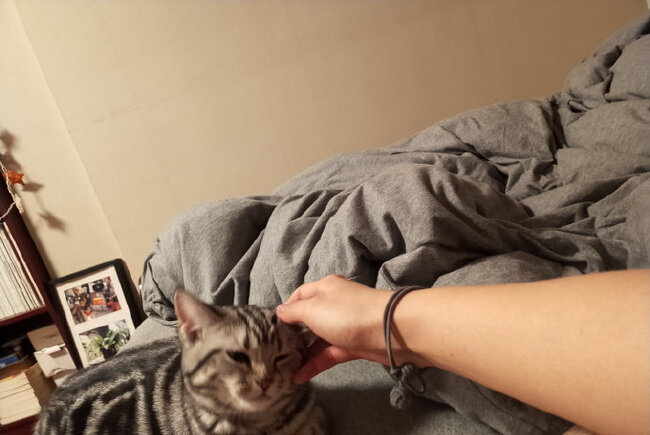 Ответ на пост «Мошенники из Китая в Телеграмме» Интернет-мошенники, Telegram, Мат, Длиннопост, Развод на деньги, Обман, Телефонные мошенники, Мошенничество, Ответ на пост